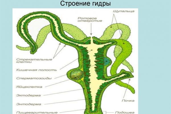 Кракен shop